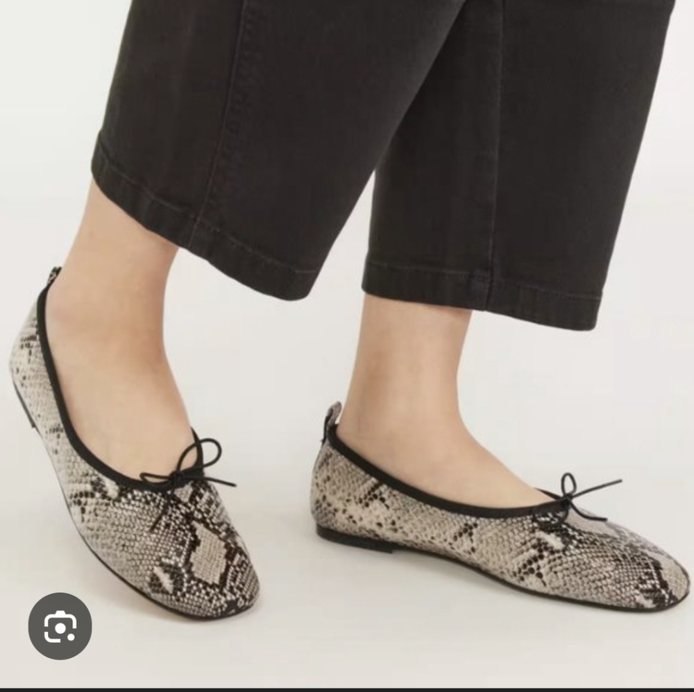 EVERLANE The Day Ballet Flats in Reptile